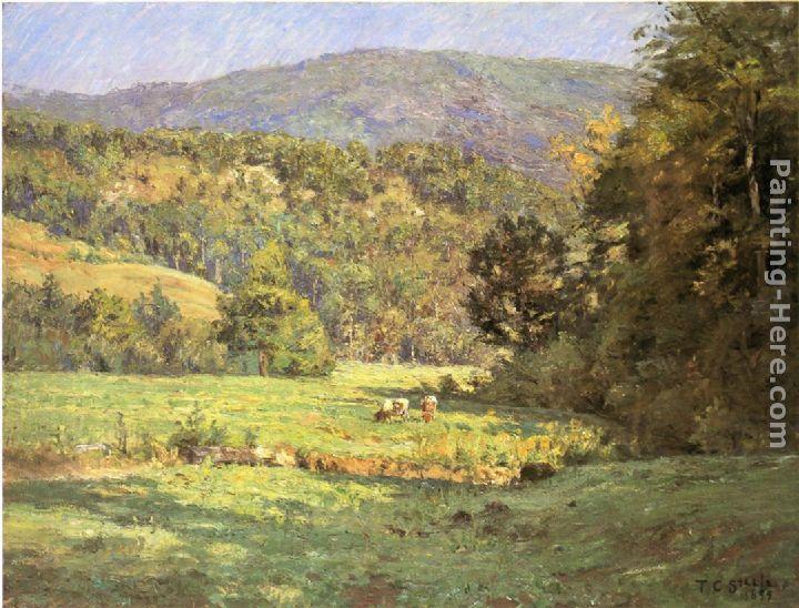 Theodore Clement Steele Roan Mountain